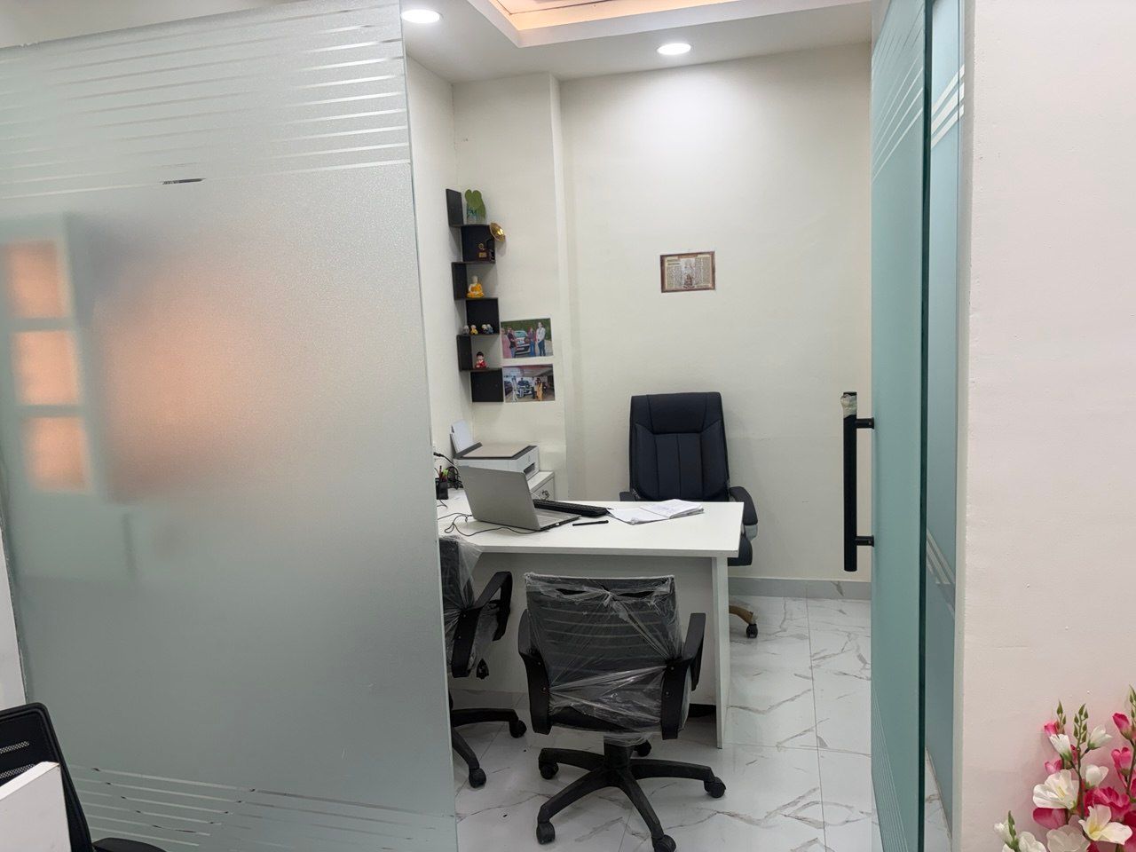 Supremo Legis full photo 4