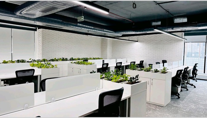 MooZ Offices full photo 2