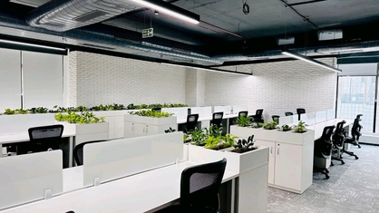 MooZ Offices